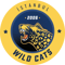 Istanbul Wildcats (VALORANT) Istanbul Wildcats (VALORANT)